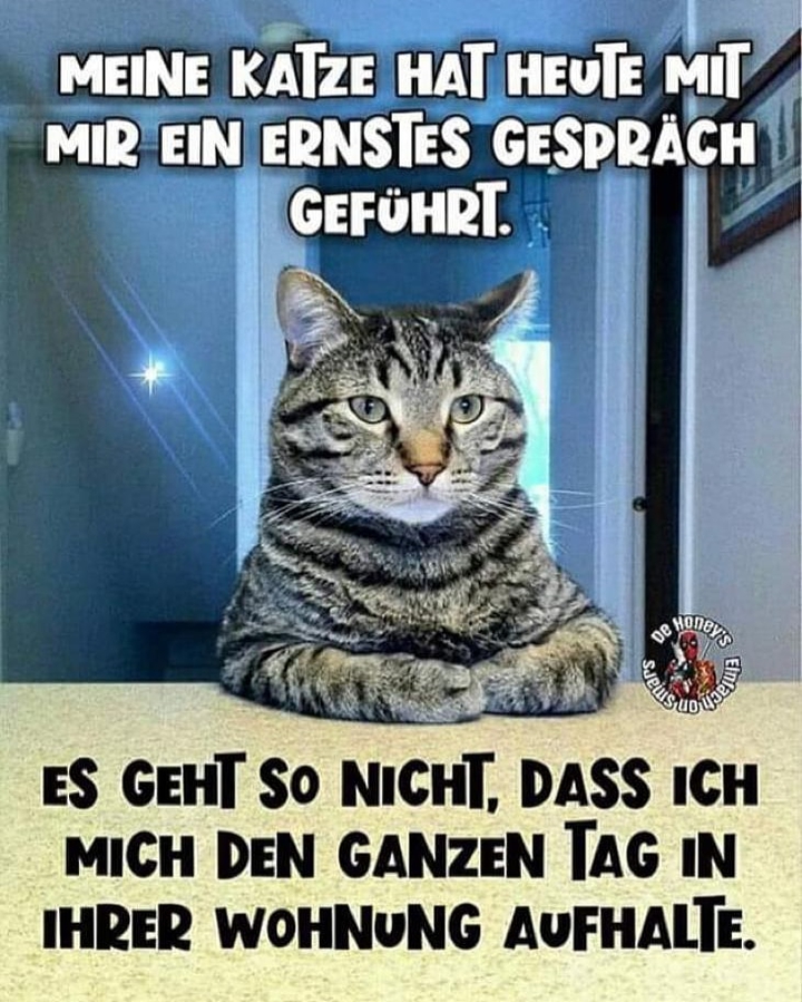 wunder ful.