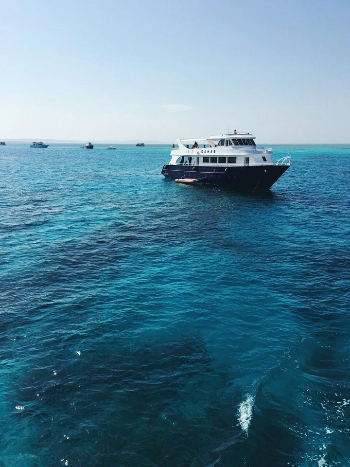 blue paradise