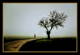hello tree