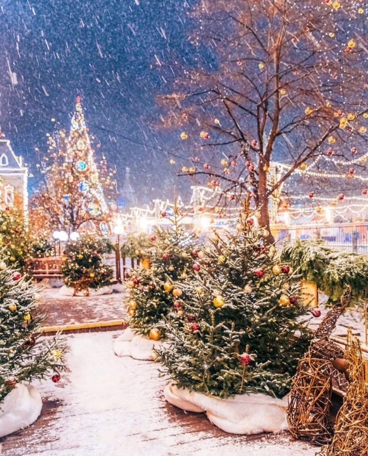 Winter