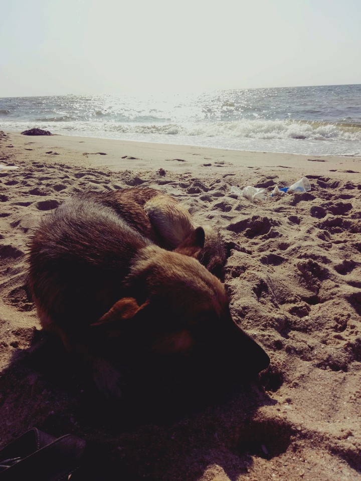 #море
