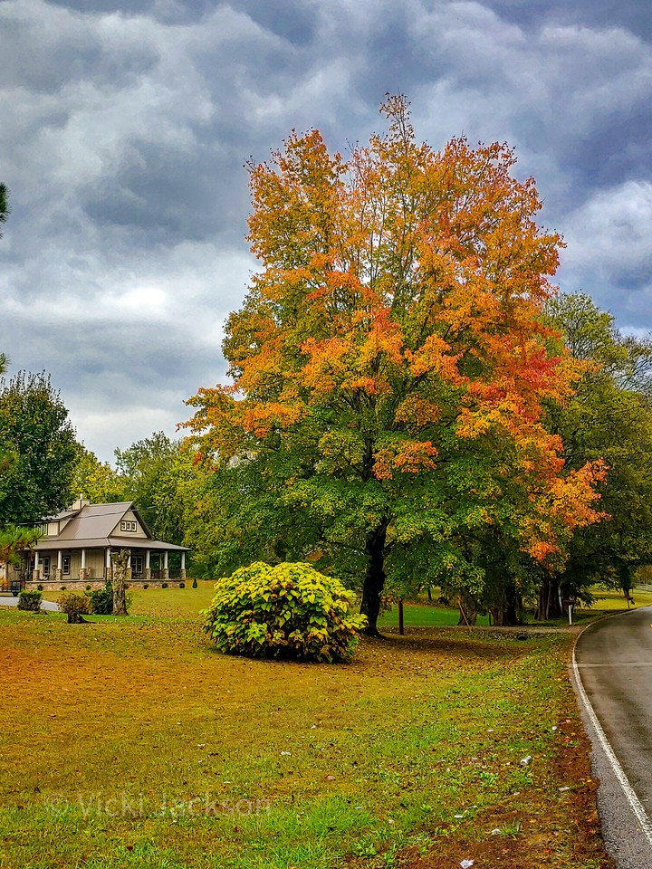 Autumn