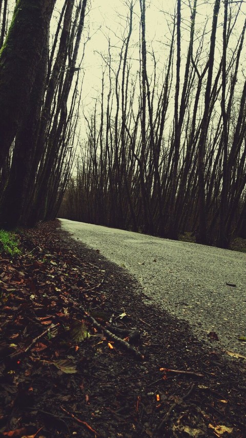 Iran_Gisoum