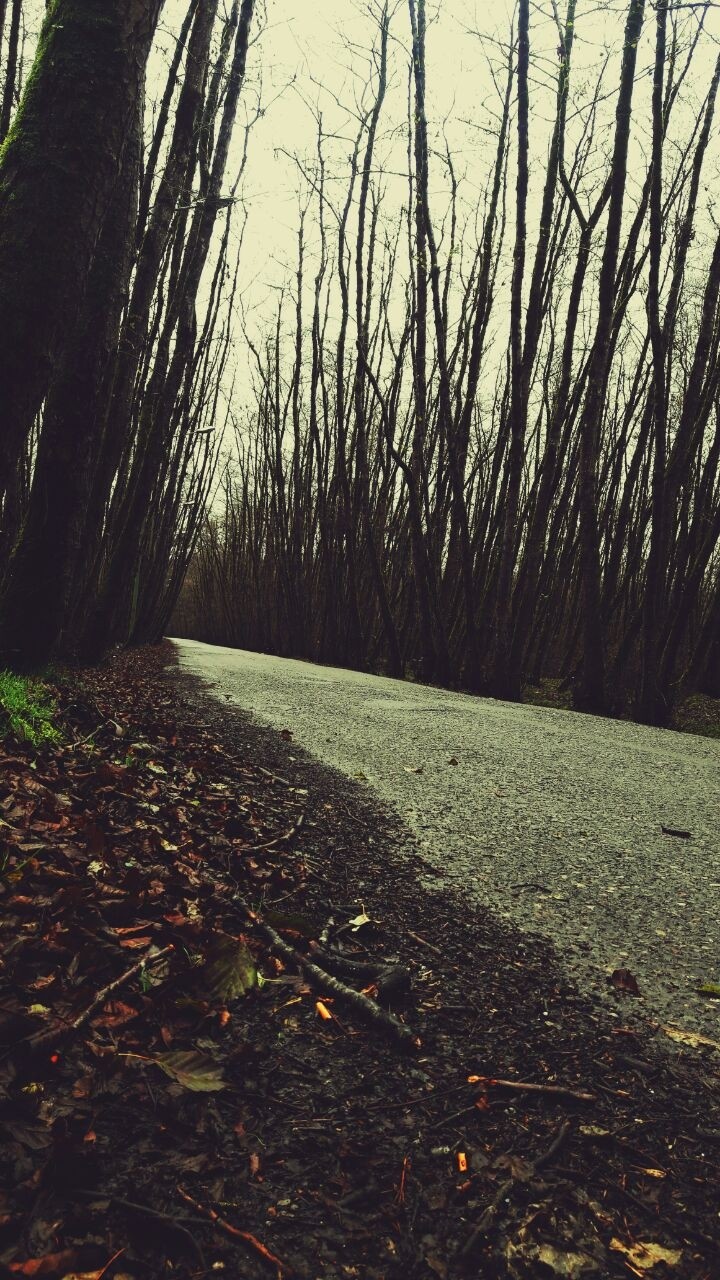 Iran_Gisoum