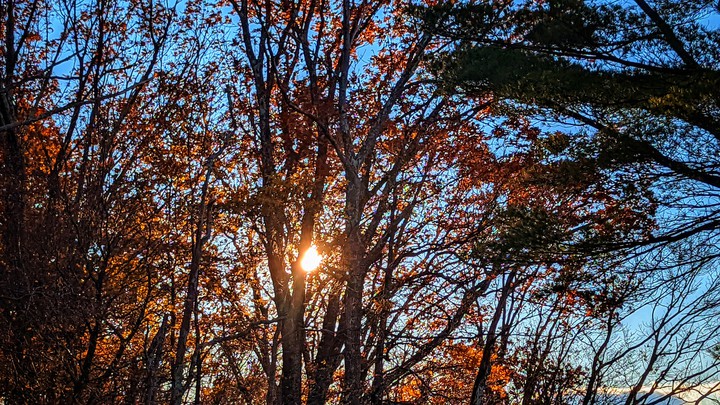Shenandoah National Park