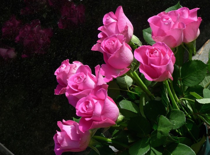 fleurs