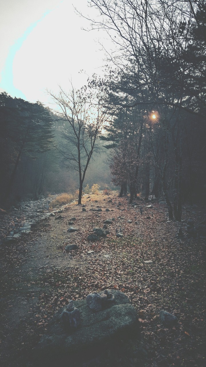 산