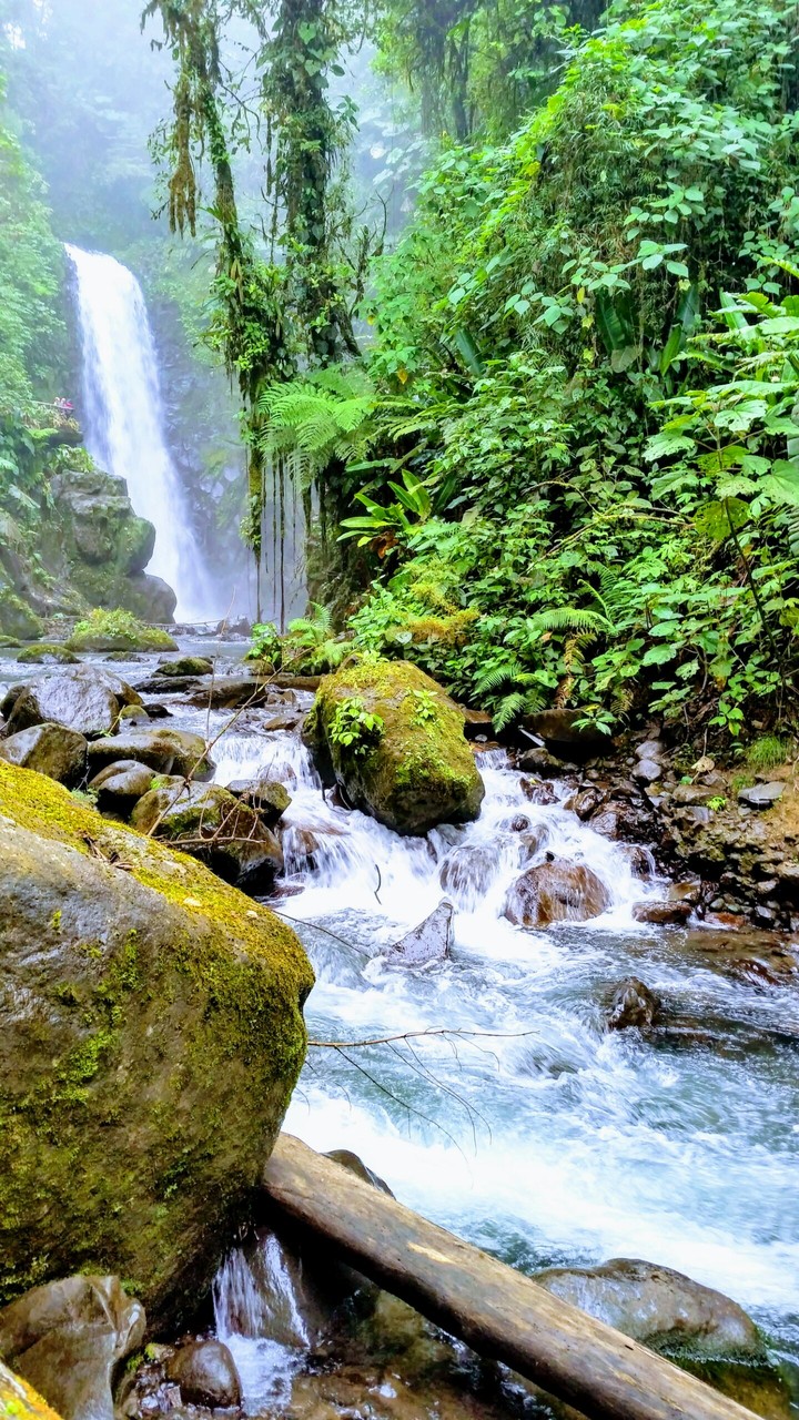 Mother Nature
