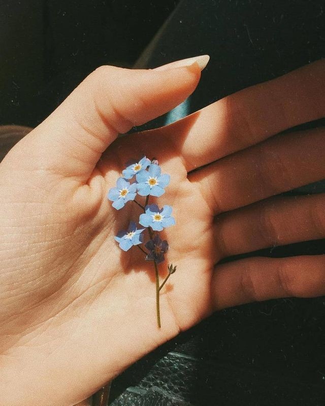 эстетика жизни