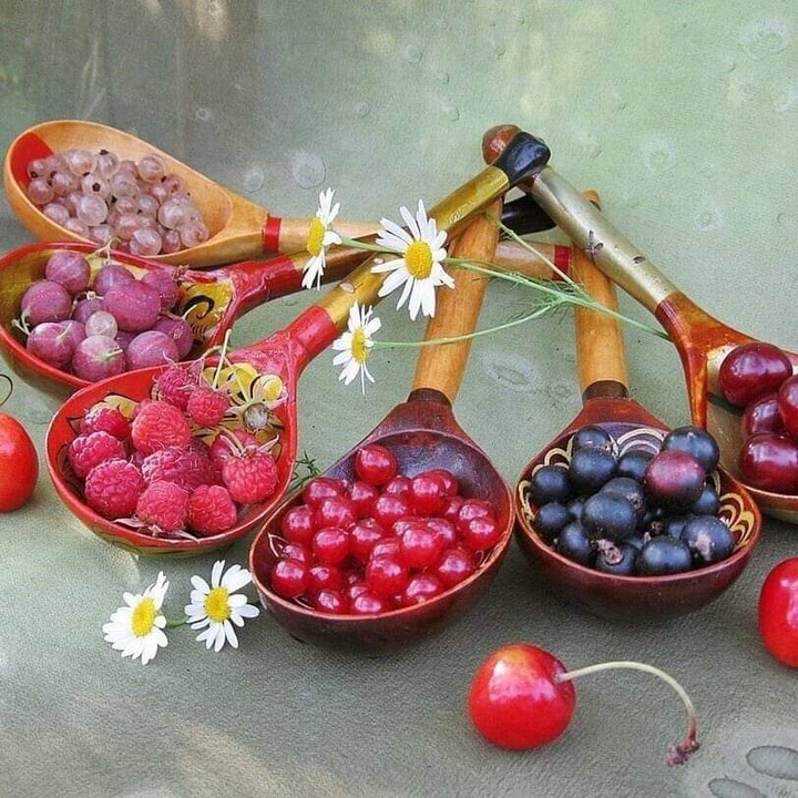 агодки
