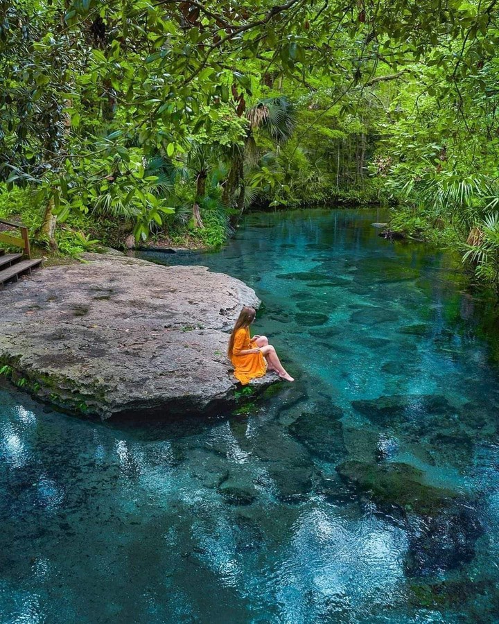 nature