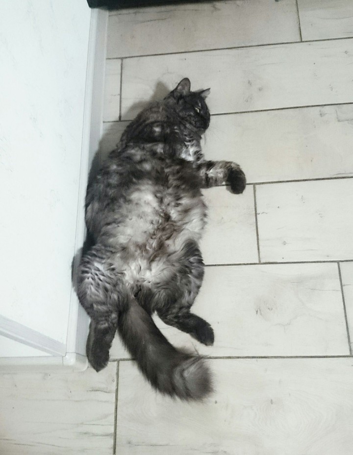 I