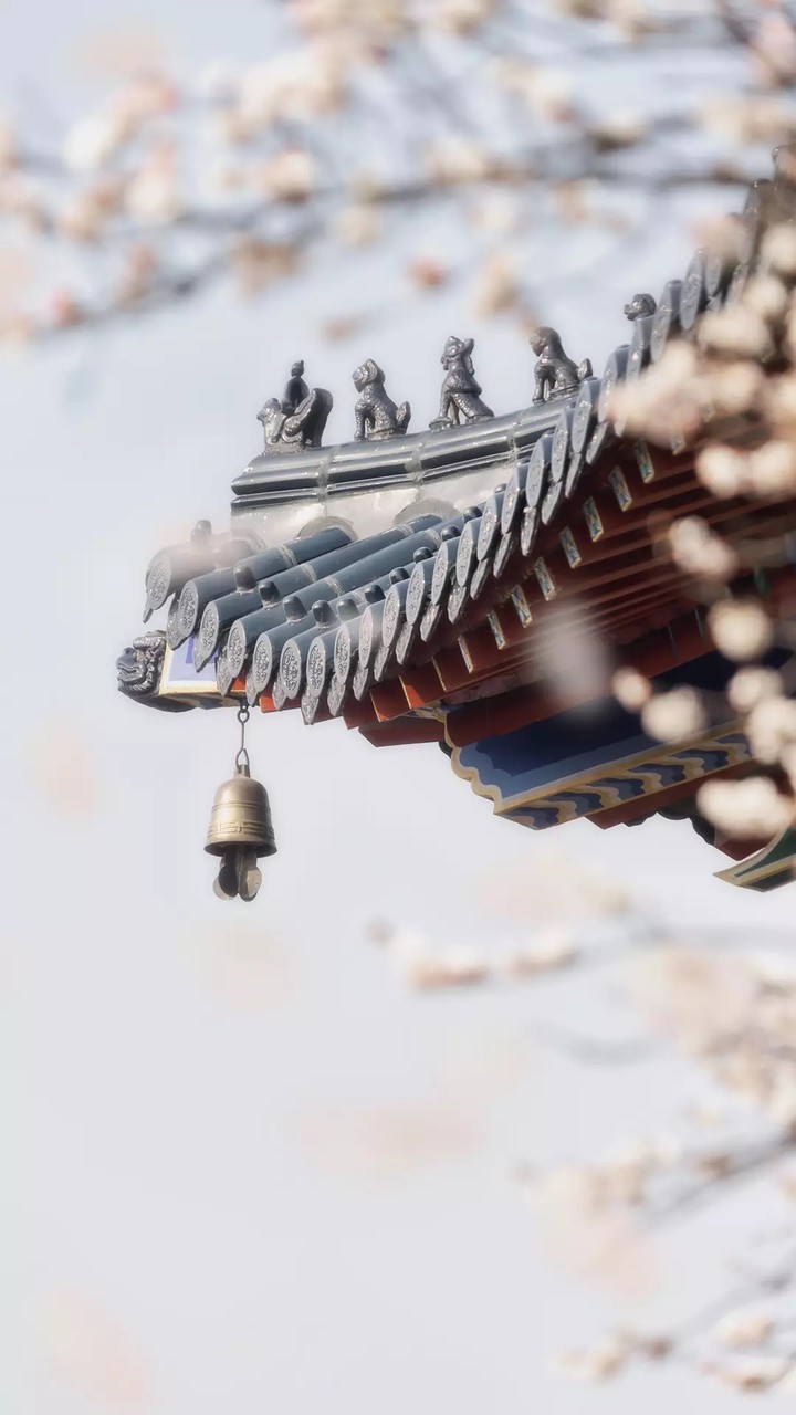 屋檐