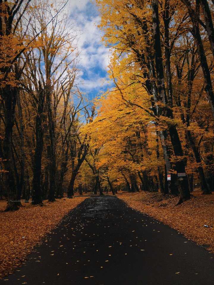 Autumn