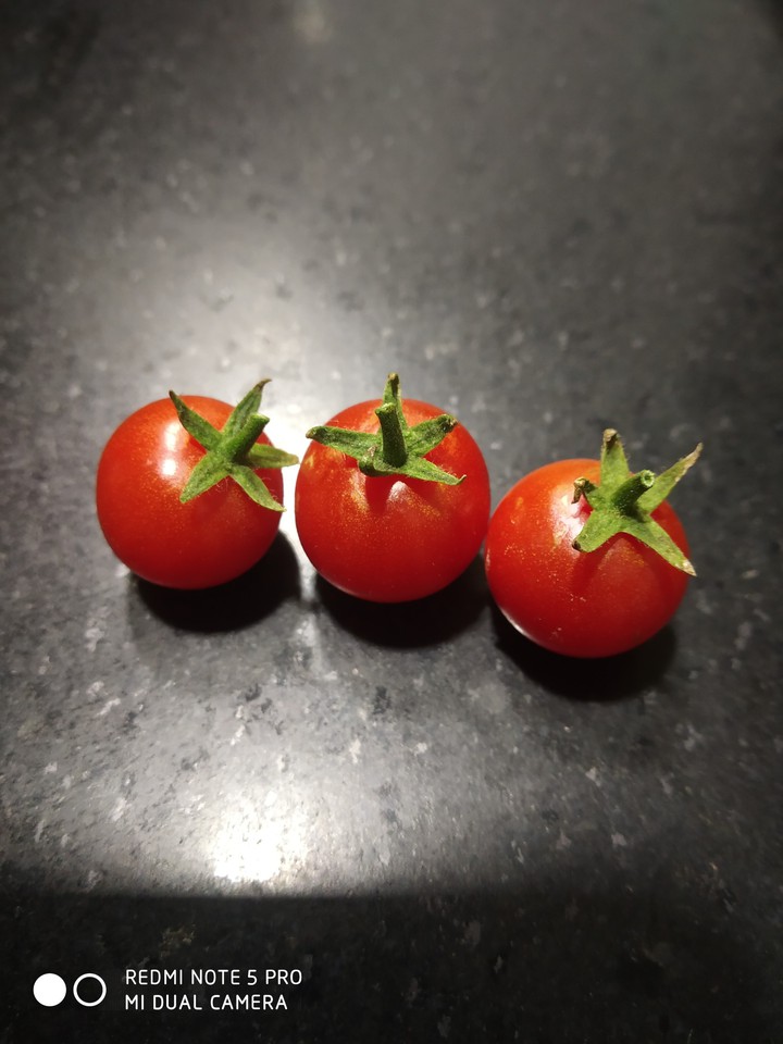 Chreey Tomatoes