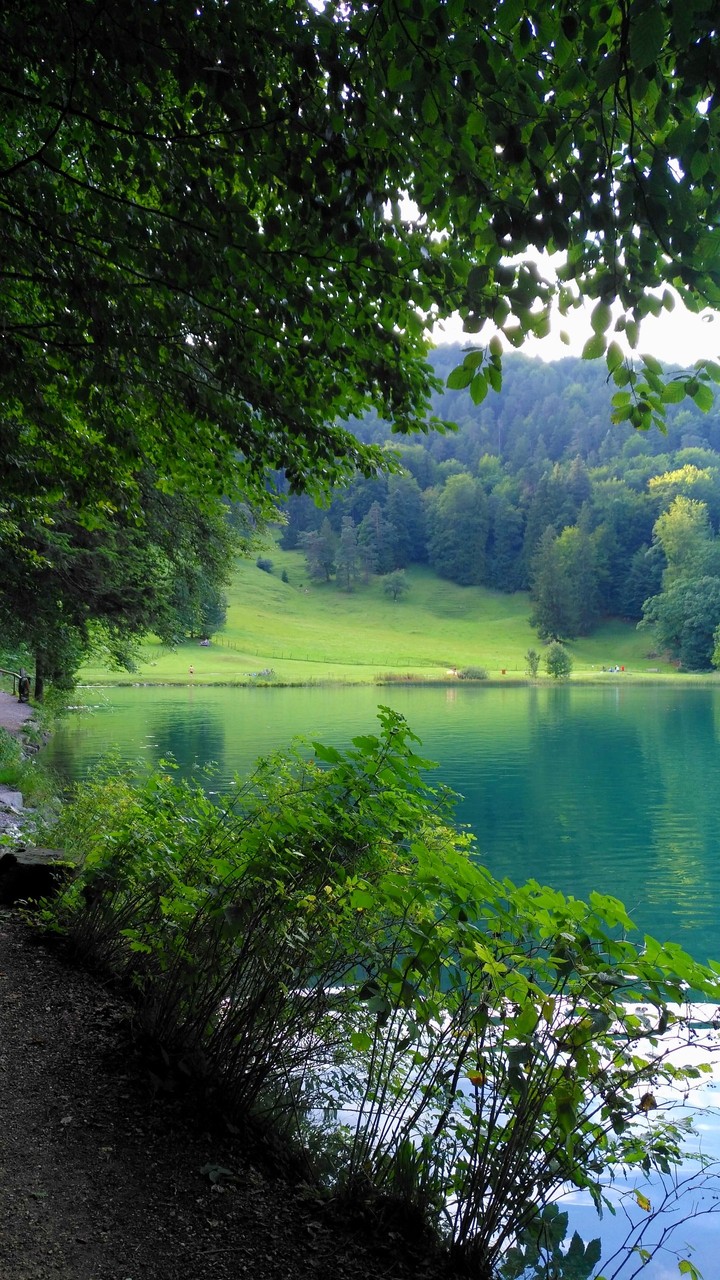 Only green