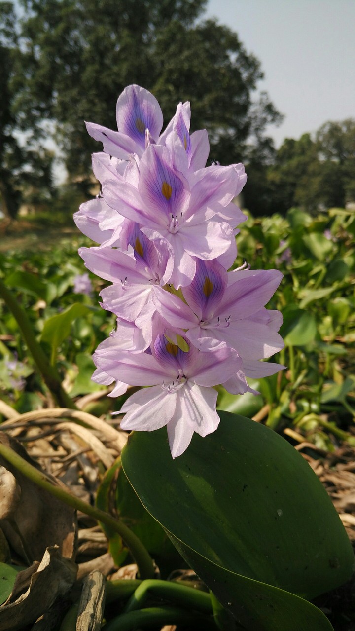 photography by me