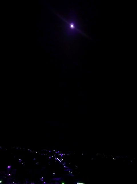 violet night