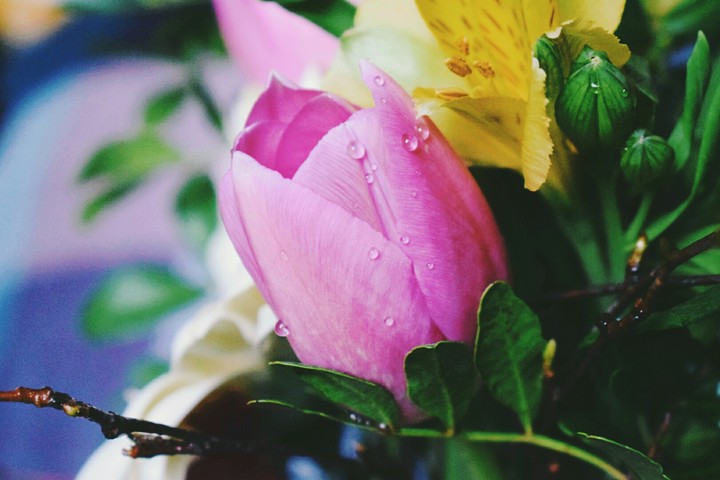 flowers