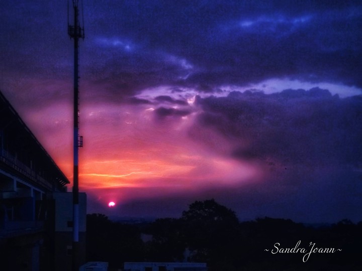 The purple sunset