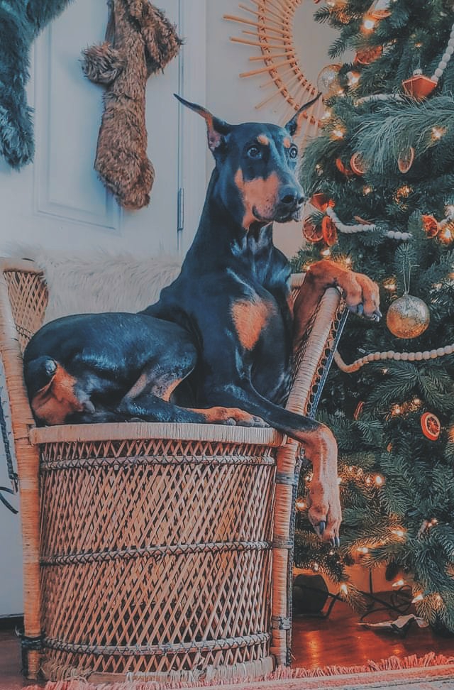 christmas time