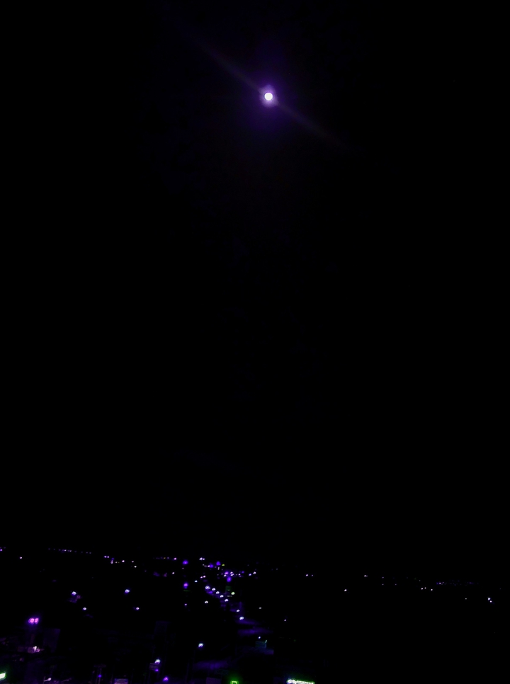 violet night