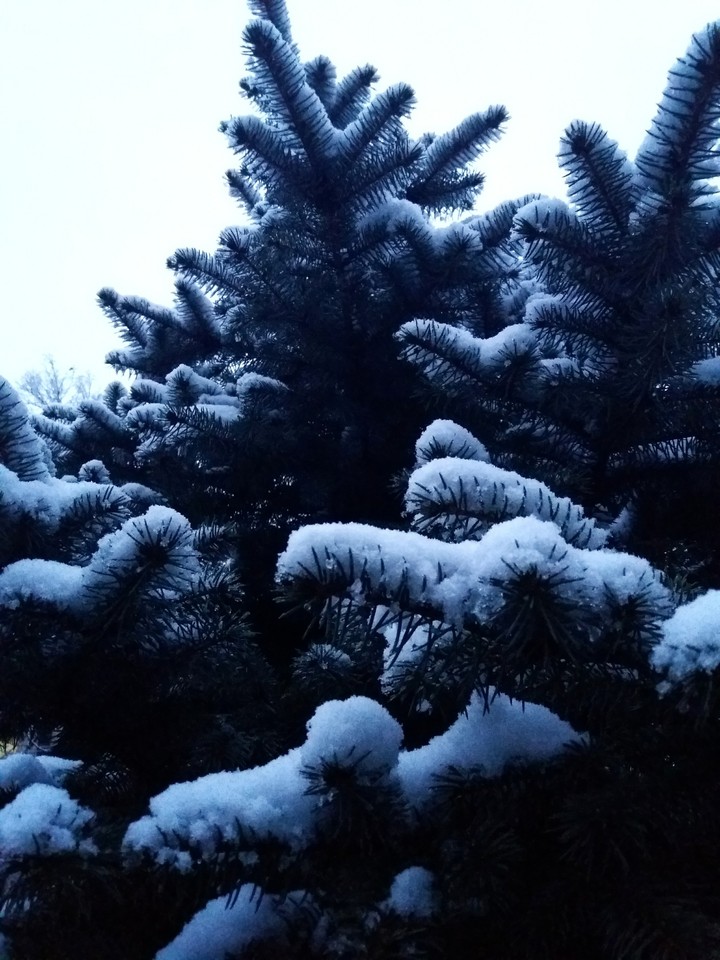 February