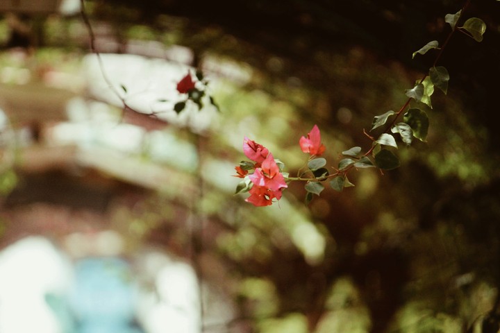 lone thing