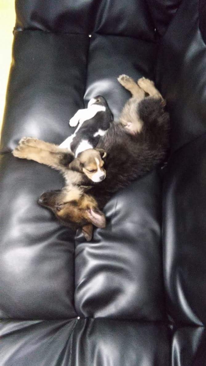friends
