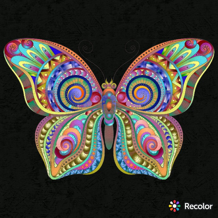 60s butterfly