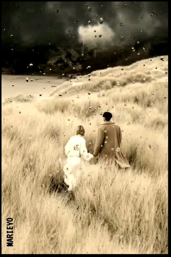 THE STORM"