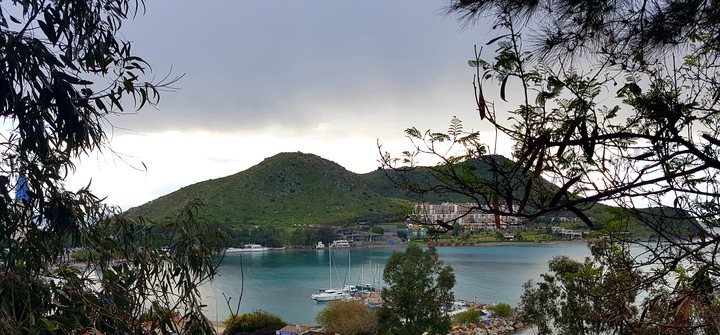 view