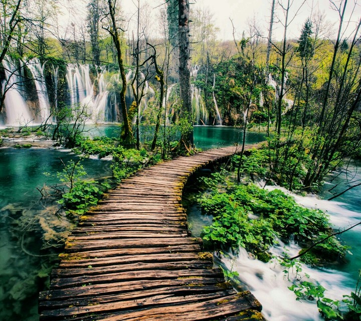Yolculuk