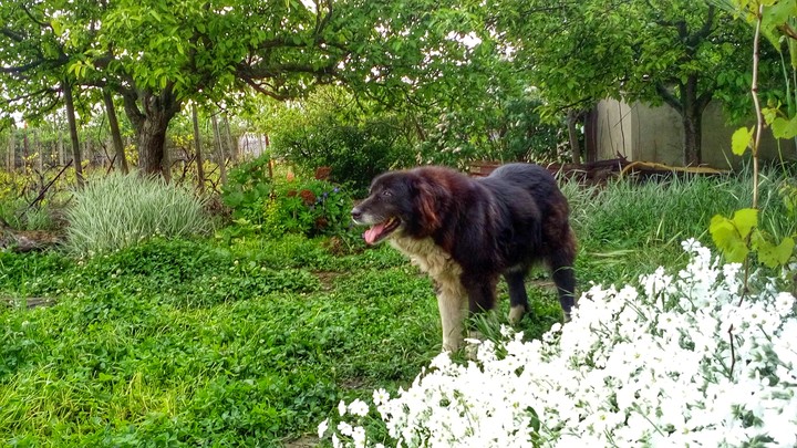 My best friend Maya