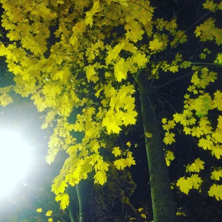осень