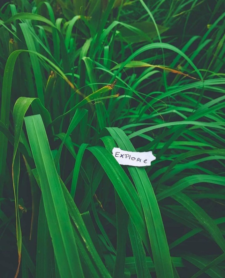 wallpaper