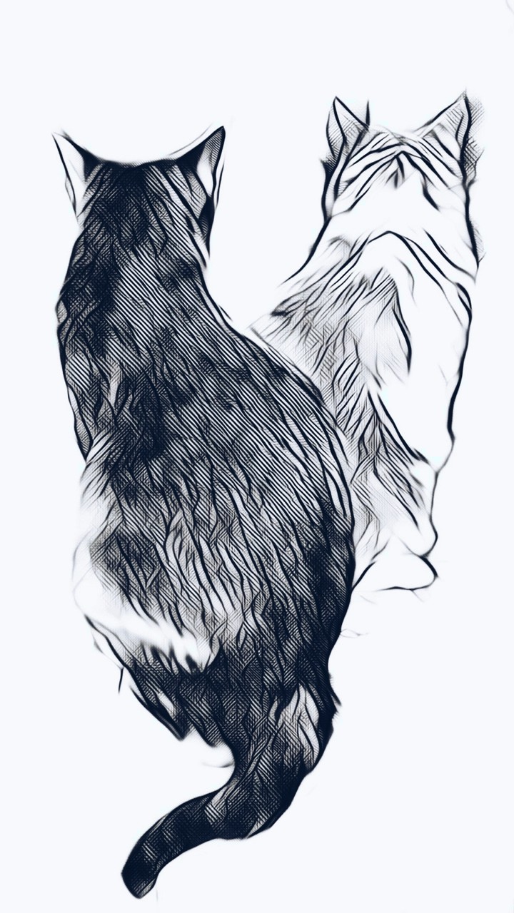 Graphic cats