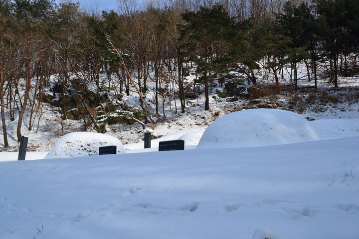 풍경이미지