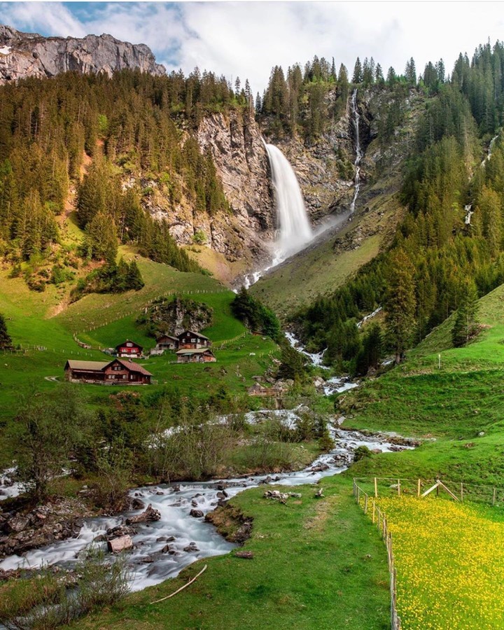 nature