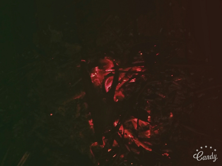 fire