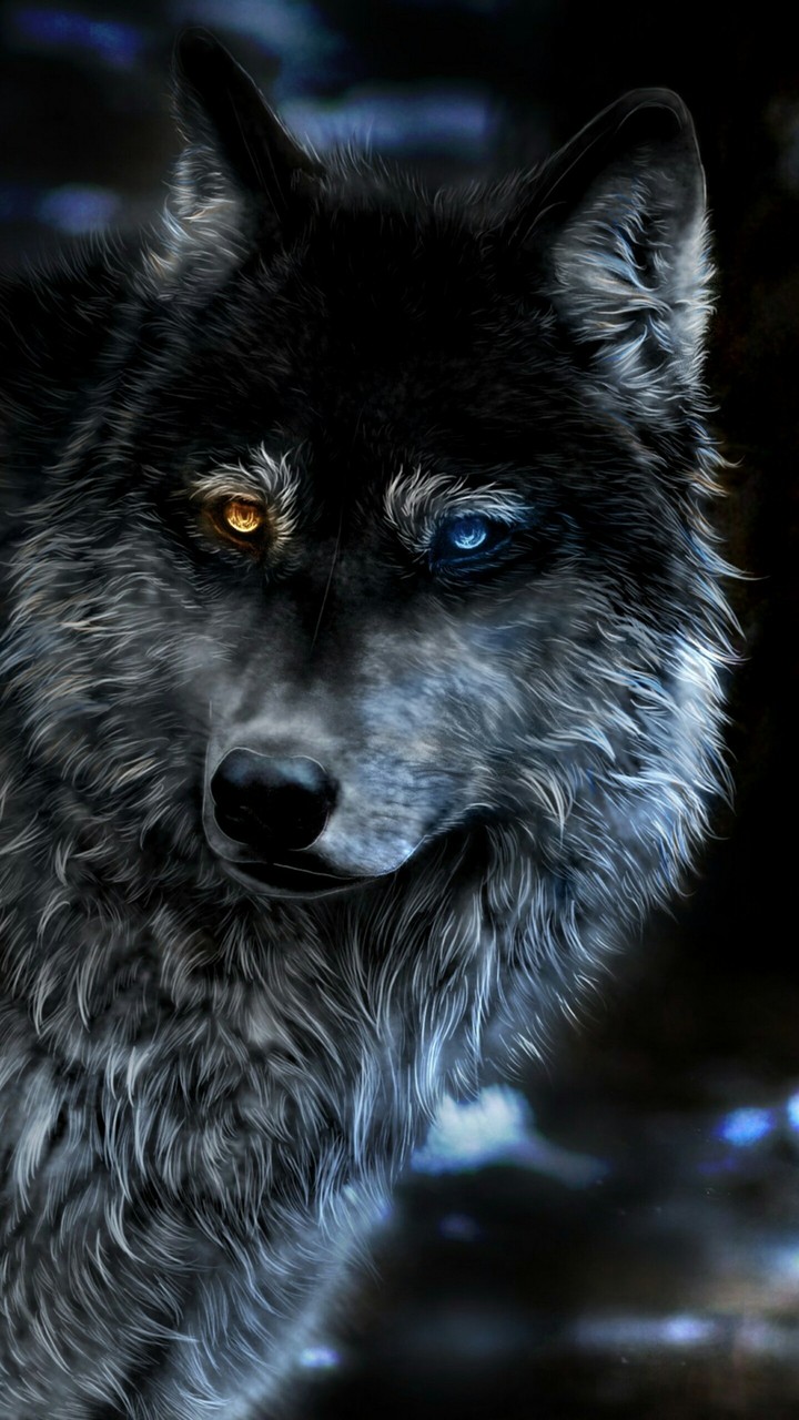 wolf