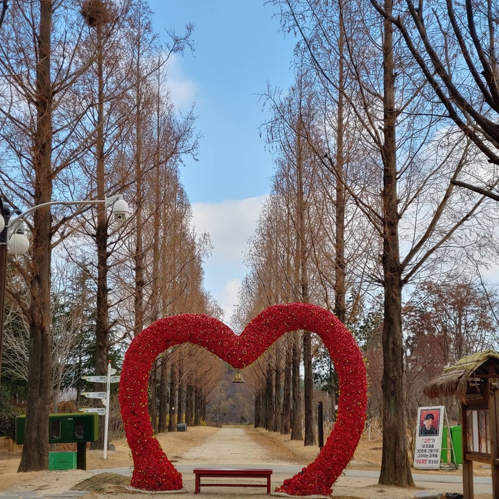 사랑