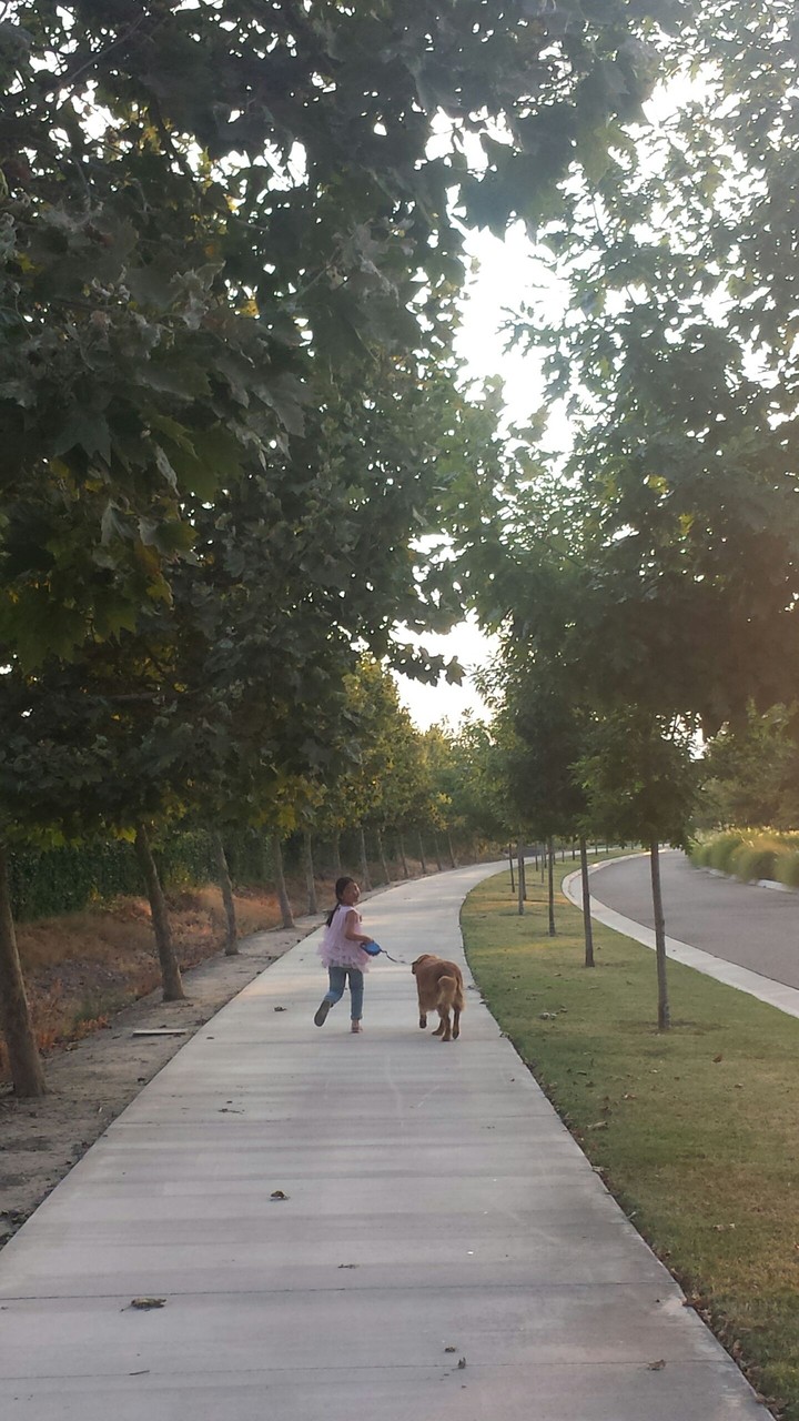 Walking the dog