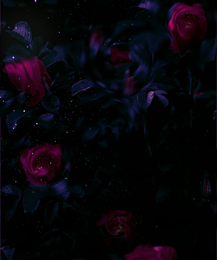 FW