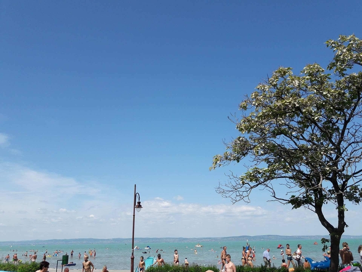 balaton✅