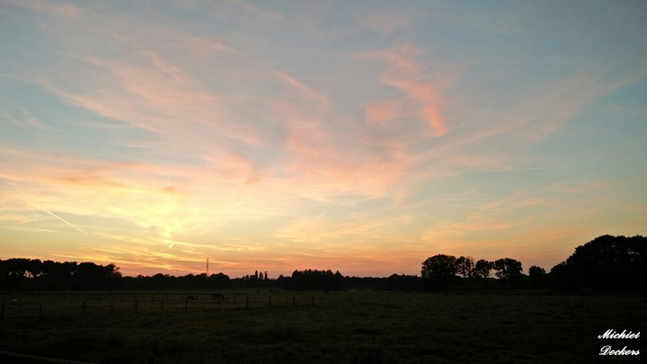 Red sunset shining over the meadow