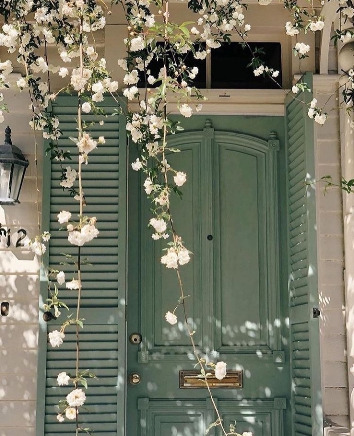 Y❤️   Front  door