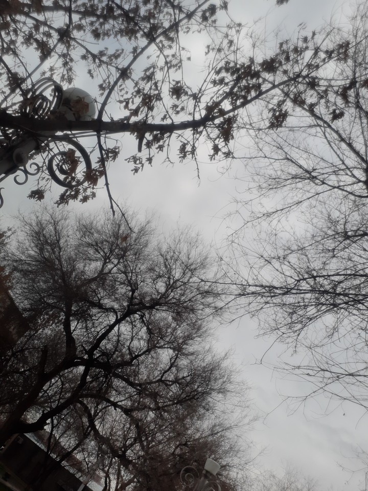 ☁️☁️☁️☁️☁️sky☁️☁️☁️☁️