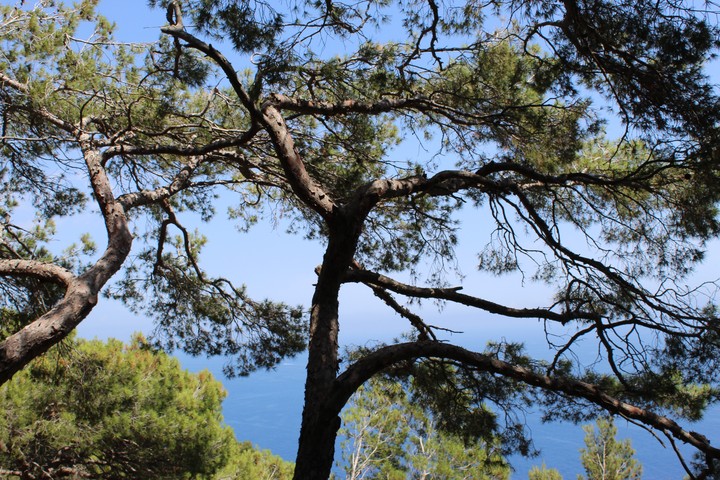 Up to the sky