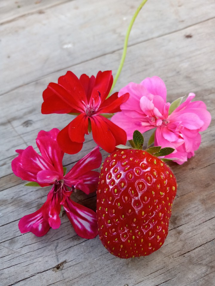 flower